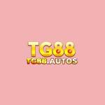 tg88 autos Profile Picture