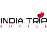 indiatrip advice Profile Picture