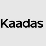 Khóa Kaadas BPS Việt Nam Profile Picture