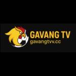 Gavang TVV Profile Picture