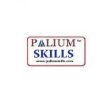 PALIUM SKILLS Profile Picture