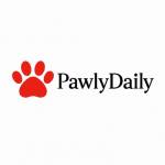 Pawly Daily Profile Picture