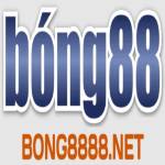 bong8888 net Profile Picture
