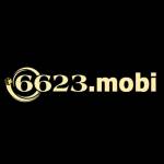 6623mobi Profile Picture