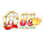 QH88v ip me Profile Picture