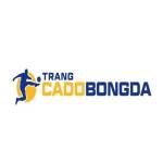Trang Cá Độ Bóng Đá Profile Picture