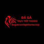 Dagatructiepthomo Top Profile Picture