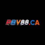PBV88 CA Profile Picture