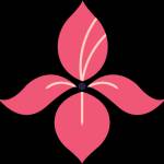 Iris Medical Group Profile Picture
