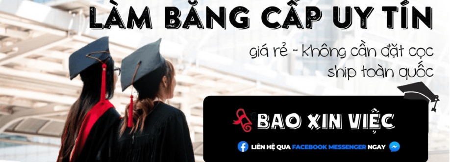 BAO XIN VIỆC Cover Image