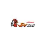 sv388sg com Profile Picture