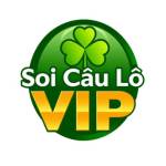 Soi Cầu Lô Vip Profile Picture
