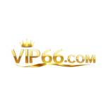 VIP66 APP Profile Picture