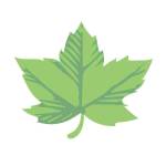 Frontier Tree Services Profile Picture
