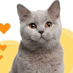 hutst174 Profile Picture
