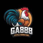 GA888 fund Profile Picture