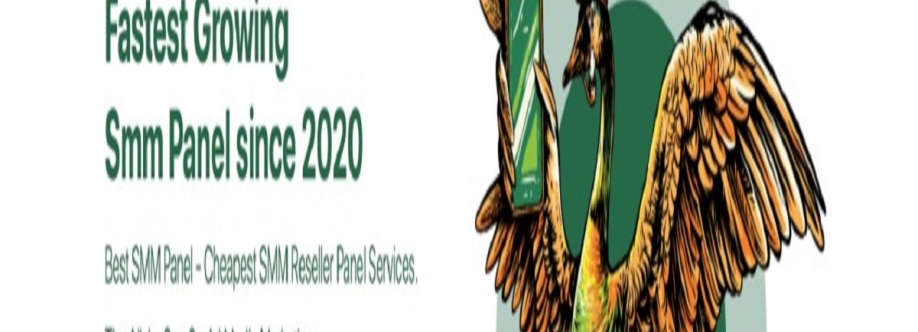 Morethan Panel Cover Image