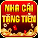 DIE BESTEN ONLINE CASINOS Profile Picture
