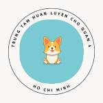 Trung Tam Huan Luyen Cho Quan 4 Profile Picture