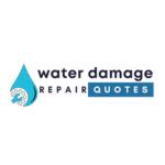 williamsburg waterdamage Profile Picture