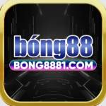 bong8881 com Profile Picture