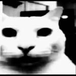 antti1 Profile Picture