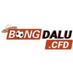 bongda Profile Picture