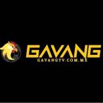 GaVangTV COMMX Profile Picture