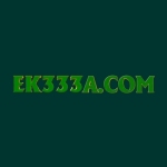 EK333 Profile Picture