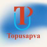 Topusapva Binance Accounts Profile Picture
