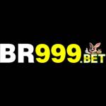 br999 Profile Picture