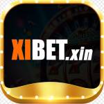 xibetxin xibetxin Profile Picture