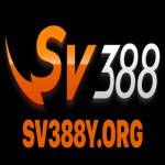 sv388y org Profile Picture