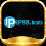 ip88 boats Profile Picture