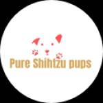 pureshihtzupups Profile Picture