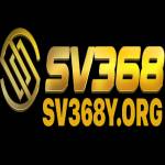 sv368y org Profile Picture