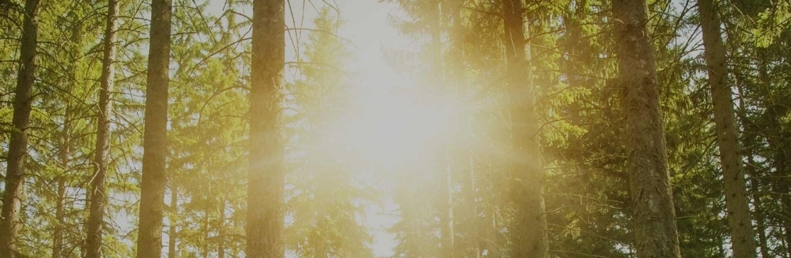 SoCal DBT Cover Image