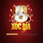 XÓC ĐĨA Profile Picture