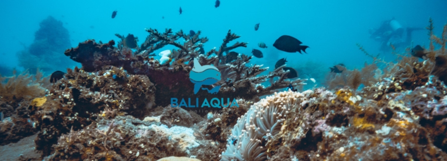Bali Aqua Diving Cover Image