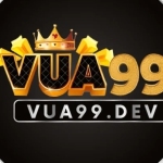 vua99dev Profile Picture