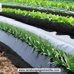 Singhal landscapegeotextile Profile Picture