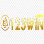 123win agency Profile Picture
