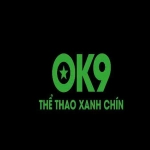 Trang Chủ OK9 Profile Picture