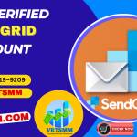How to Get Verified Stripe Accounts in 2025: Ultimate Guide Profile Picture