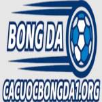 Cá cược bóng đá Profile Picture