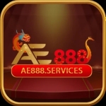 AE888 services Profile Picture