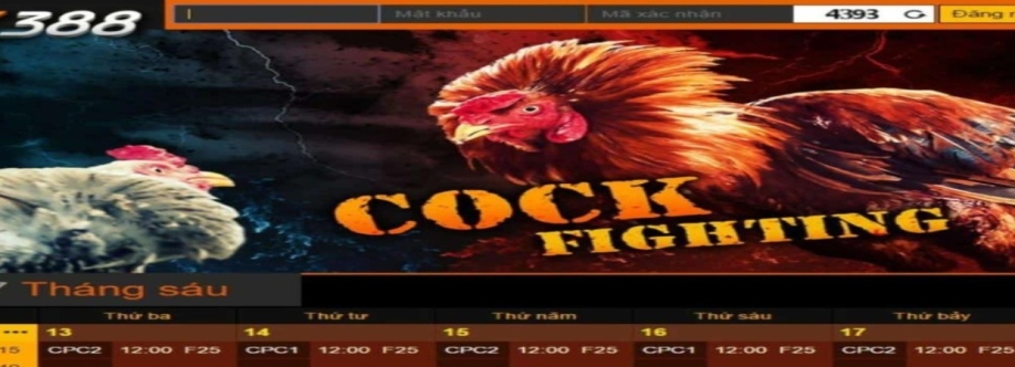 sv388y org Cover Image