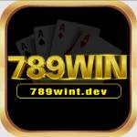 789WINt dev Profile Picture