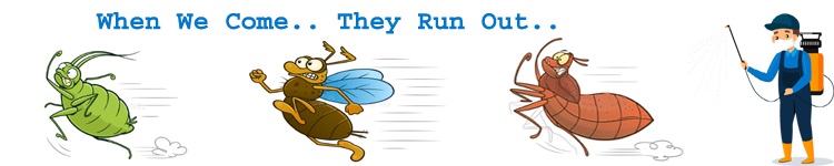 # No 1 Pest Control Services in Jaipur, India - 9694141413 | Hire Pest control services experts in Jaipur
