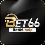 BET66 HELP Profile Picture